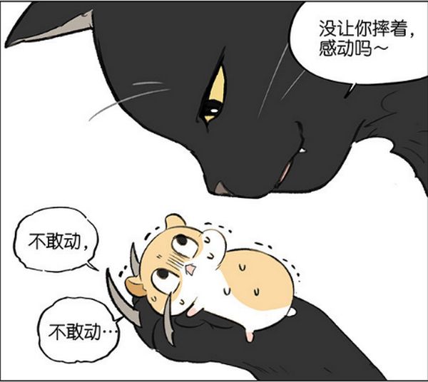 仓鼠跑步速度有多快,仓鼠跑步的速度有多快