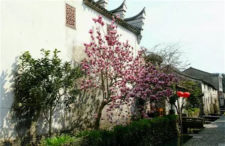 宁波附近古镇石浦渔港古城,宁波古镇