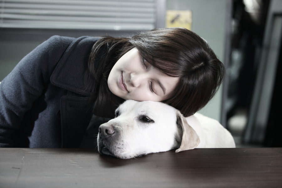 韩国电影悬疑犯罪最新,推荐18部韩国犯罪悬疑电影