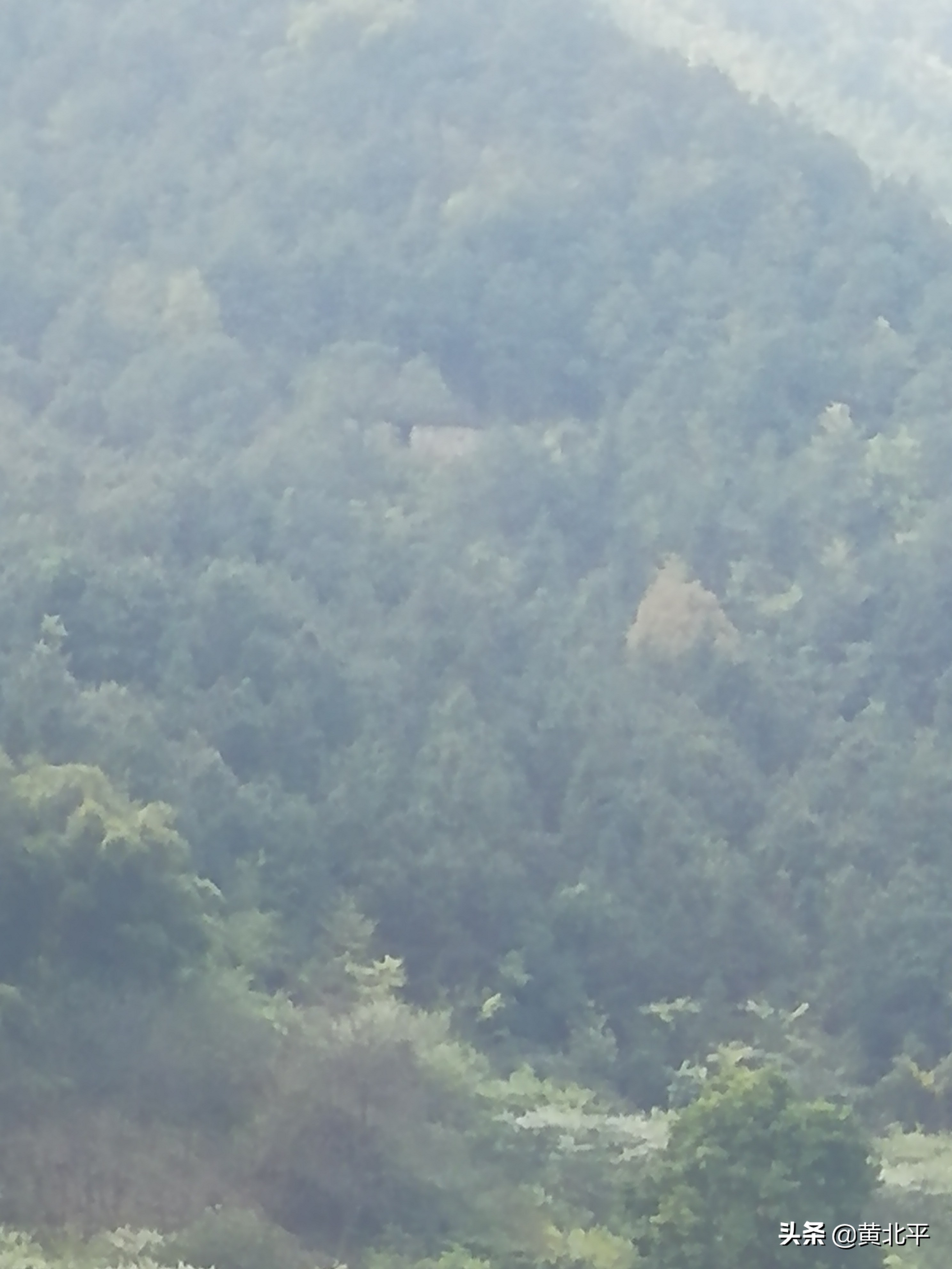 重庆大渡口白云寺遗址,重庆市南川区白云寺