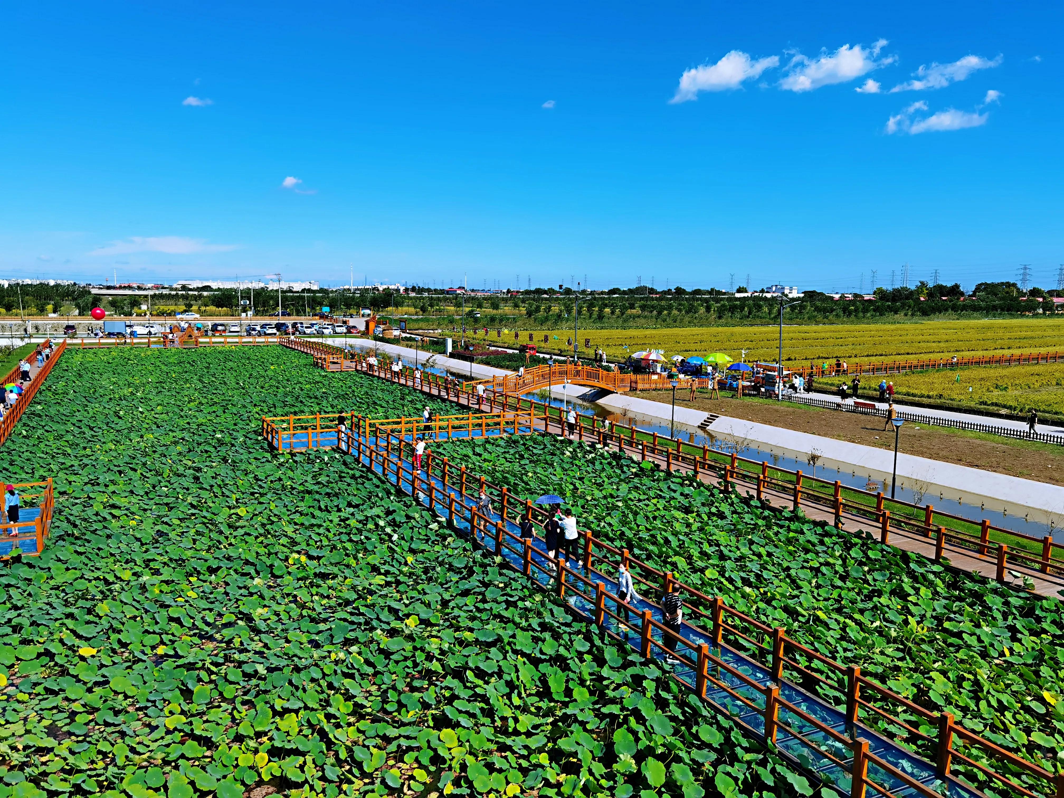 小站第一二段给你留下什么印象,小站印象