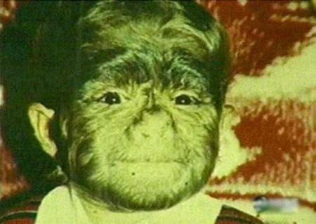 进化论为什么只有人进化可以说话,进化论是一个群体而不是单个生物