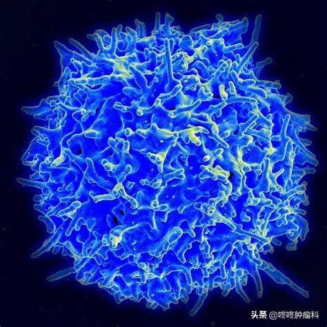 免疫细胞疗法可以治疗哪些疾病,免疫细胞治疗才是最有效的