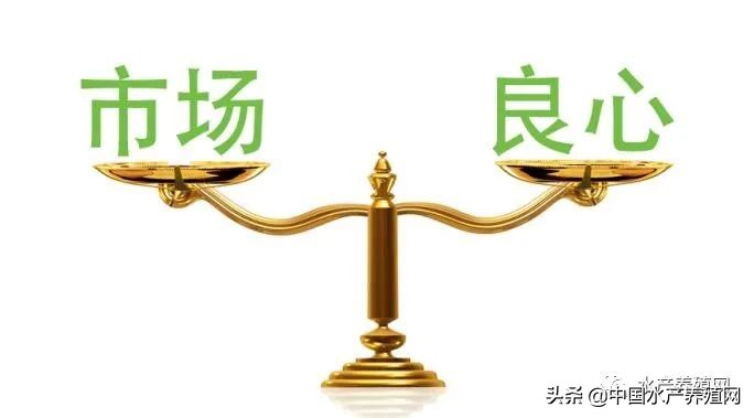 饲料乱象,饲料行业乱象