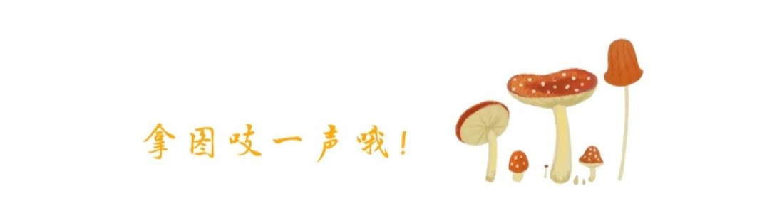 表情包我可以这样吗,表情包没有我的可爱了