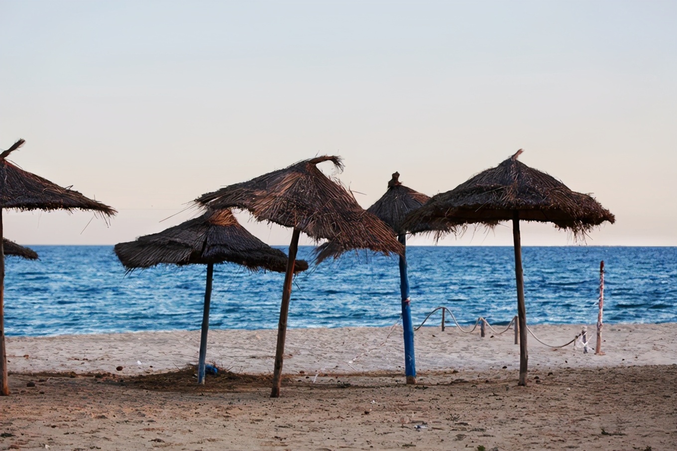 突尼斯｜一个微笑，一句“salam”，我为你动容（1）