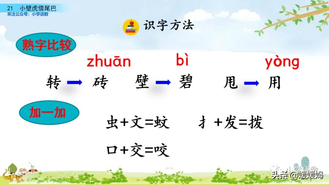 一年级小壁虎借尾巴原文图片,小壁虎借尾巴优质课一等奖