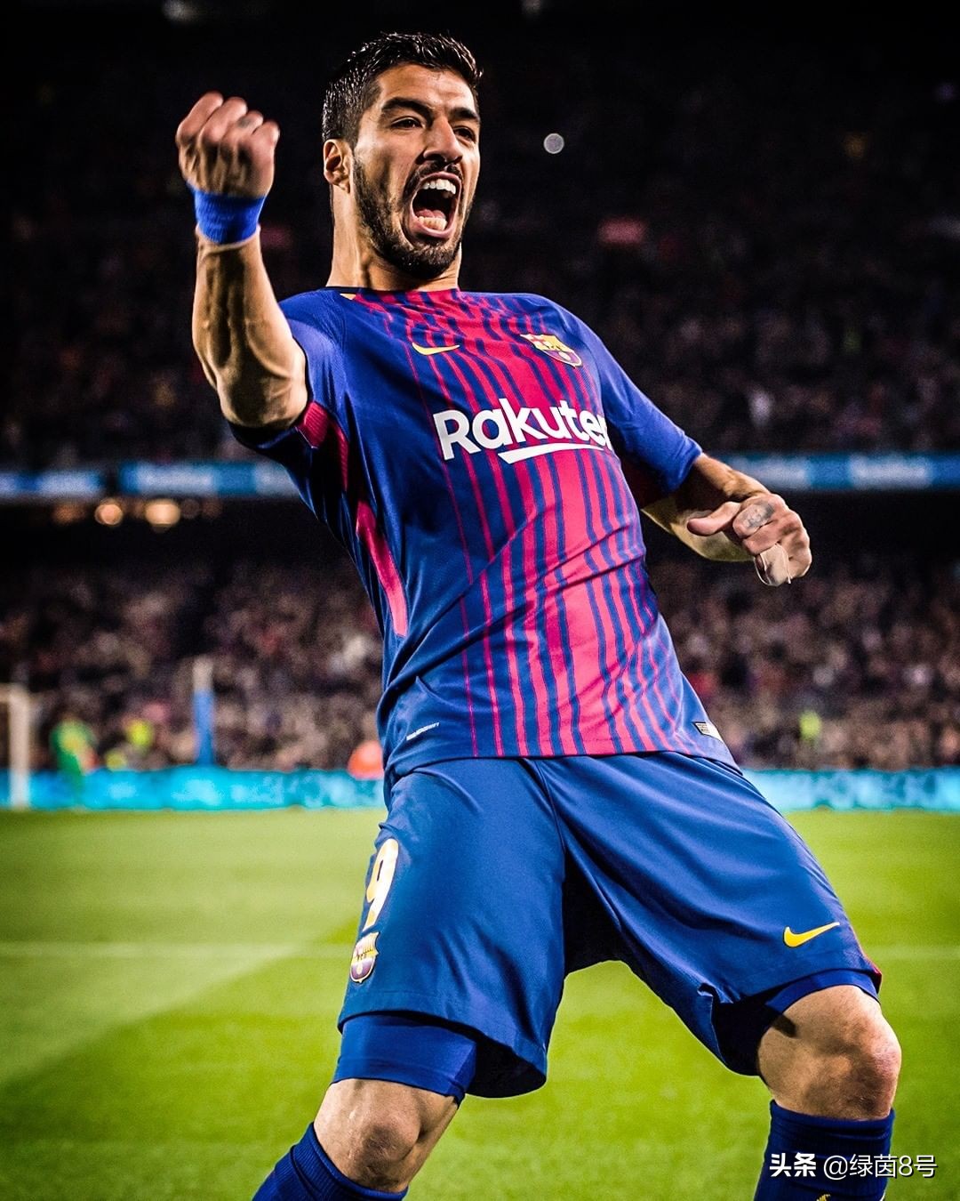 意难平苏东坡,意难平曹雪芹