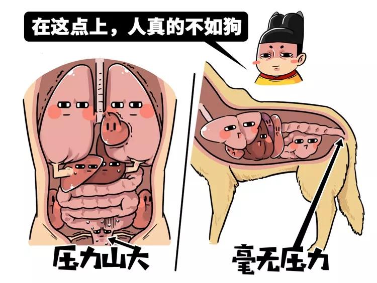 长痔疮怎么办最快的止痔方法,有痔青年怎么治