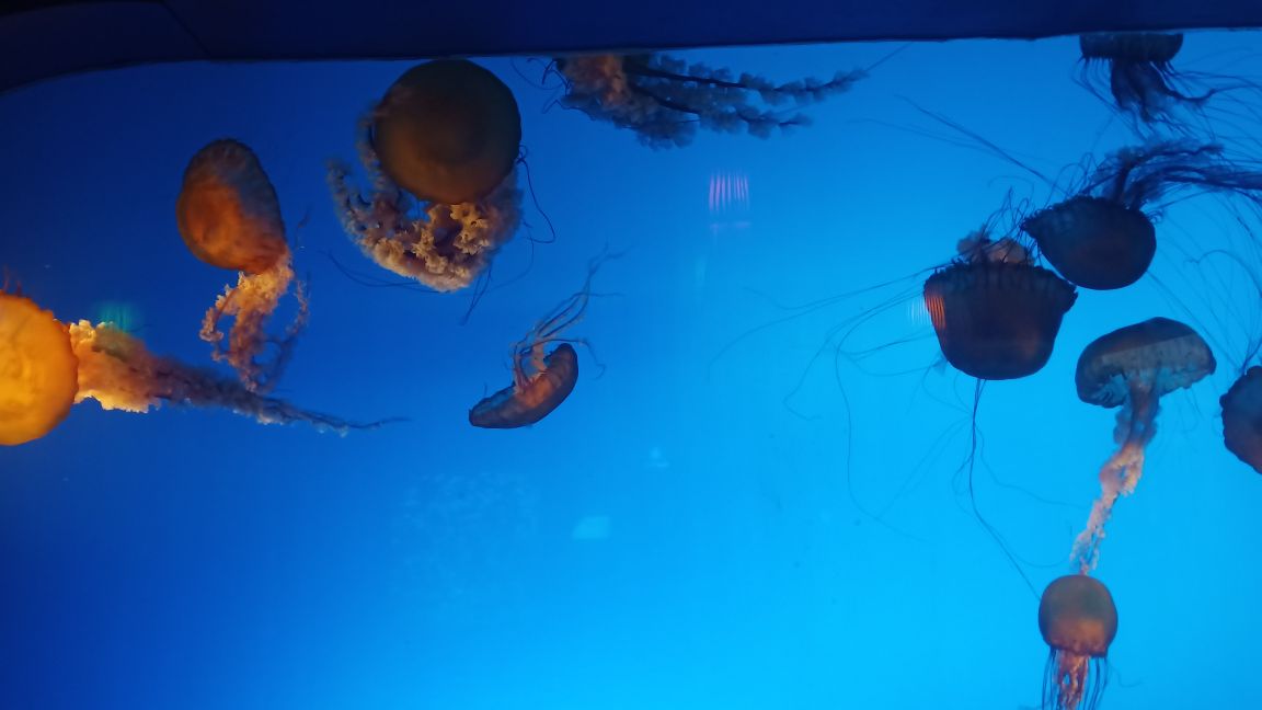 跟团北京三日游,北京旅游团三日游价格