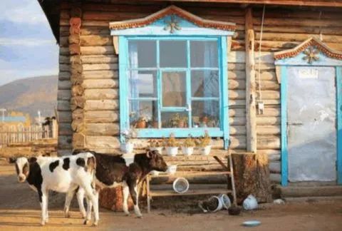 赵本山讲述真实经历,赵本山真实故事视频大全