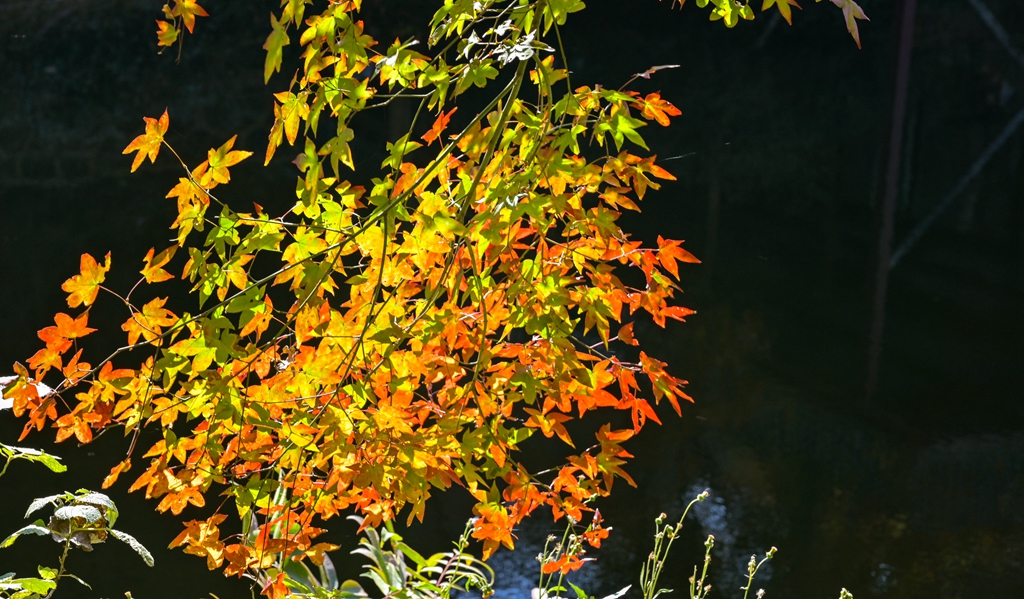 清凉寨美景,世界著名金秋山水风景油画