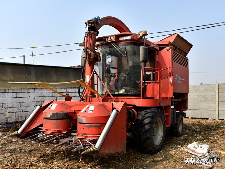 顶呱呱饲料收获机多少钱,顶呱呱青饲料收获机
