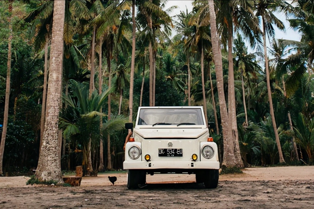 写作小白怎样入手怎样投稿,手机上写作投稿能赚钱吗