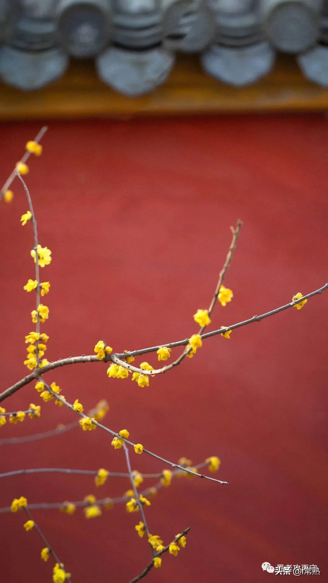常熟旅游团春节,常熟旅游2日游