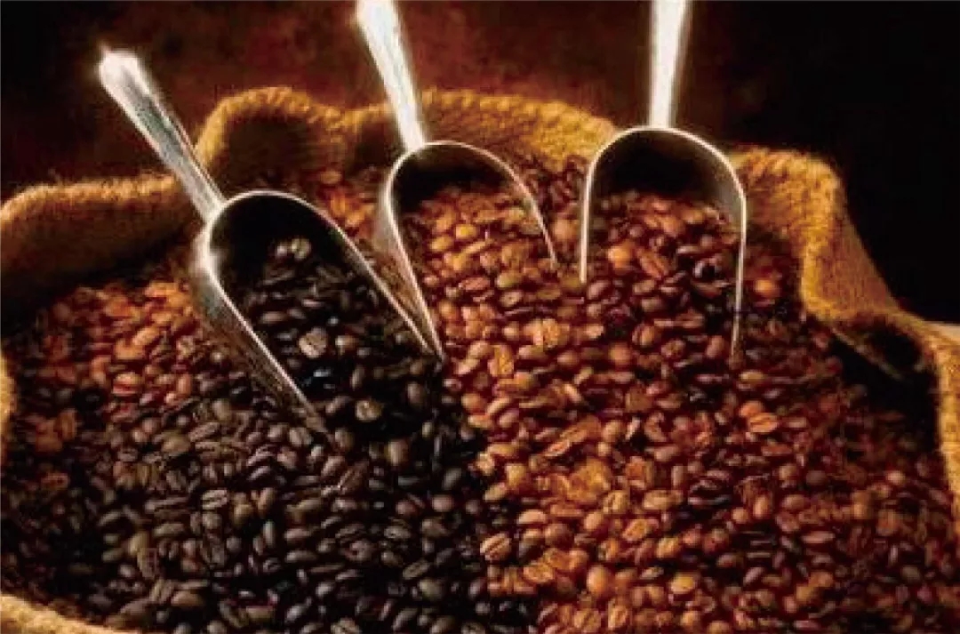 来版纳感受一下不一样的风情,来版纳旅游