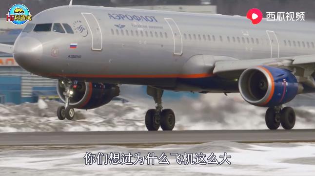 飞机的秘密儿童百科全书,飞机鲜为人知的秘密