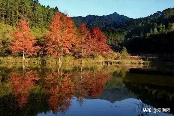 广东粤北最美公路,粤北最美的国道是哪条线