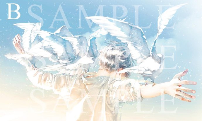 「陶白白」十二星座常见误解系列：狮子座到底强不强势？