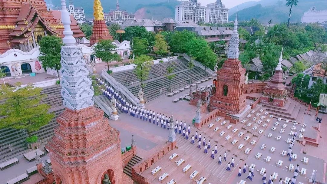 「馥人」李守蜜——福鼎白茶最美茶艺师