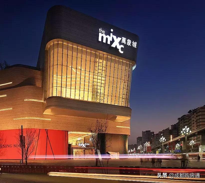 种了20年的铁树终于开花了,养了几十年的铁树终于开花了