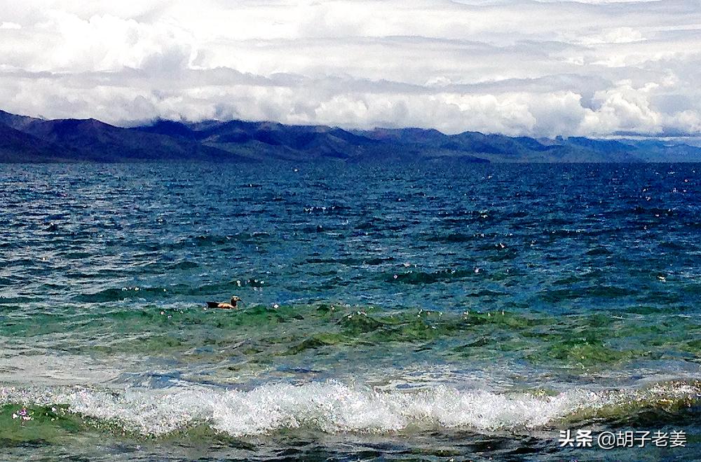 西藏三大圣湖哪个湖最美,纳木错三大圣湖之首