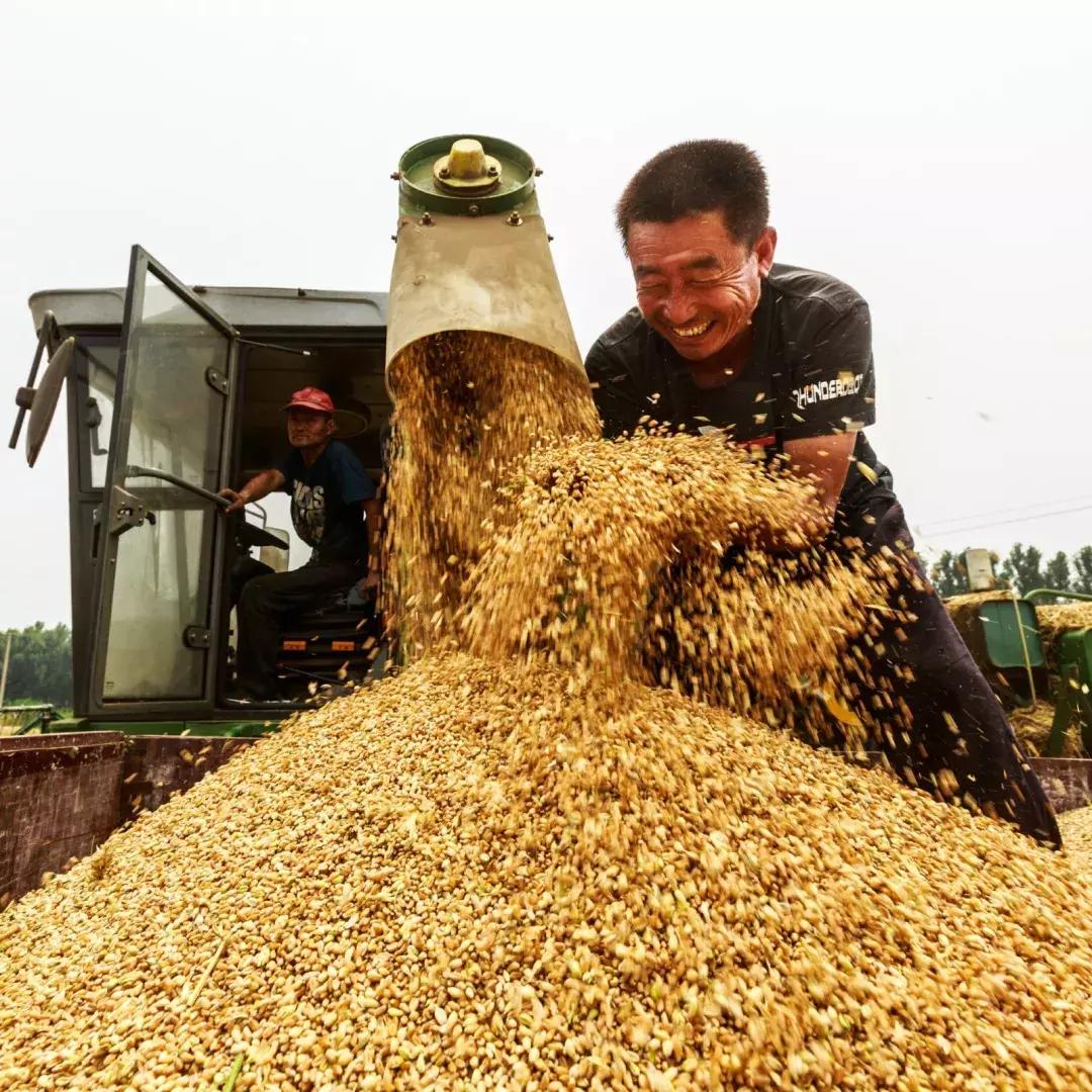 【超燃来袭】武清：70张笑脸，用稳稳的幸福，致敬可爱的祖国！