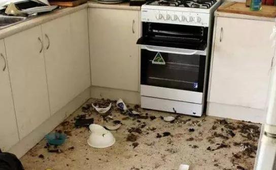 方便易清洗的拖把,免手洗拖把简直太方便了