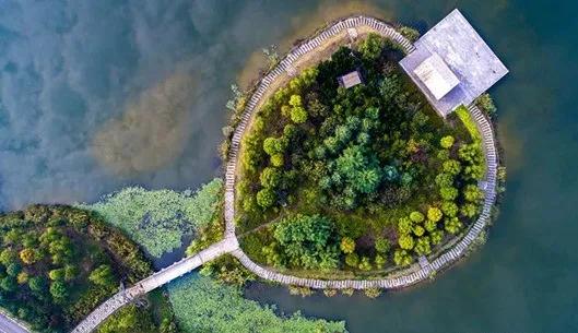 宫崎骏的眼中的世界,青岛宫崎骏的夏天在哪