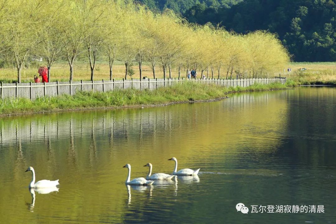 神农架大九湖这实在是太美了,神农架大九湖天空之镜
