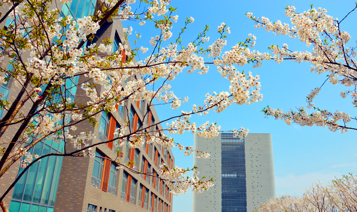 以省份命名的大学都学什么专业,以省份命名的大学有哪些是985