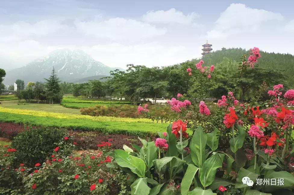 向世界推荐河南,向世界推介郑州