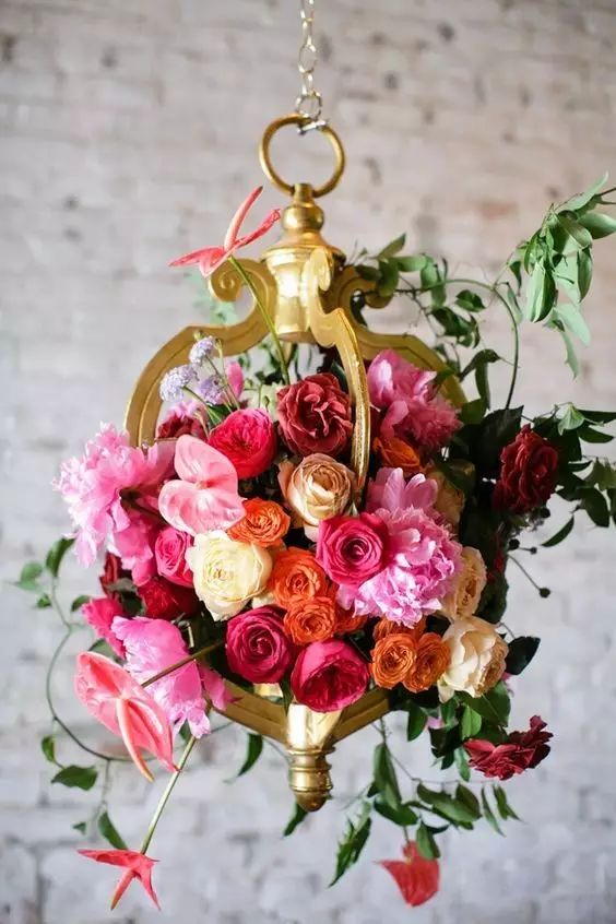 教你怎么学插花,小白零基础怎么学插花