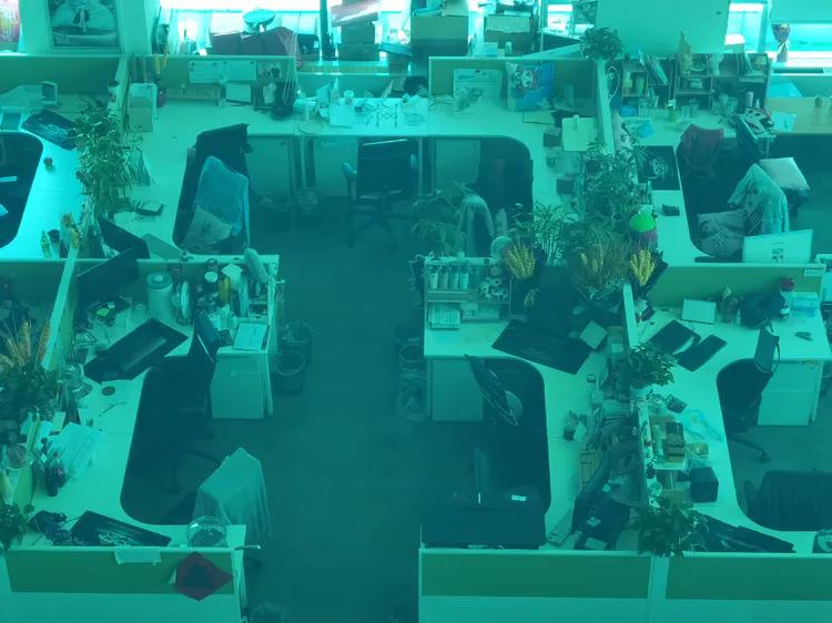 京东总部上班需要什么条件,京东总部上班体验