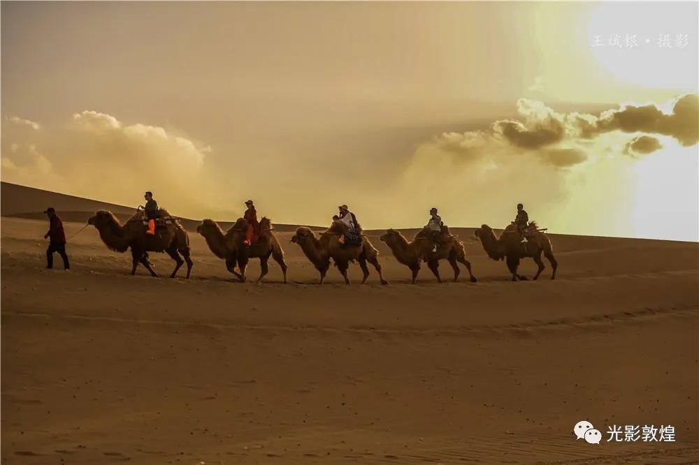 【敦煌新鲜事】月牙泉驼户穿胡服”牵骆驼服务游客