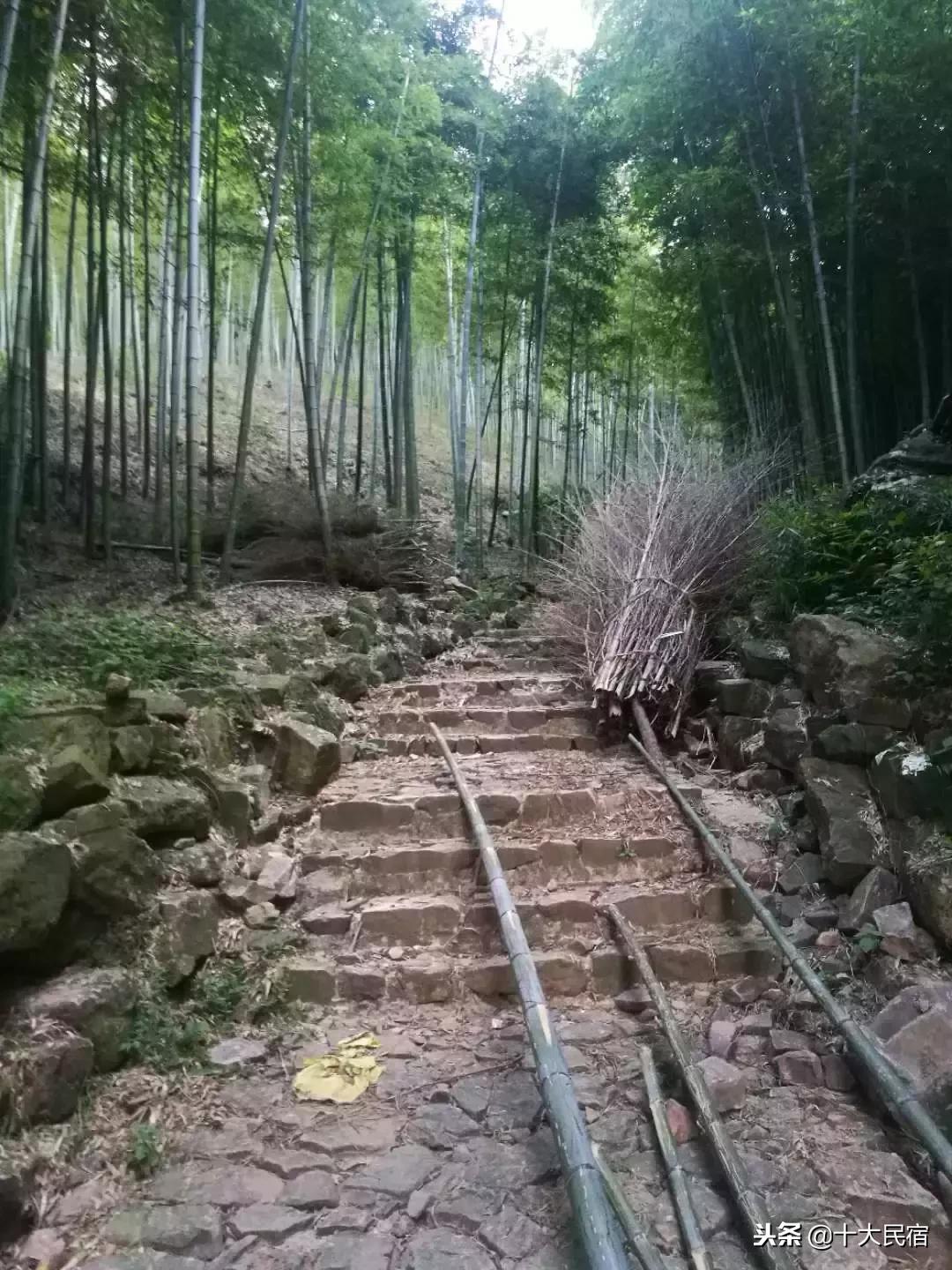 浙江长兴农家乐400元包吃住的民宿,长兴农家乐10月3日到5月三日游