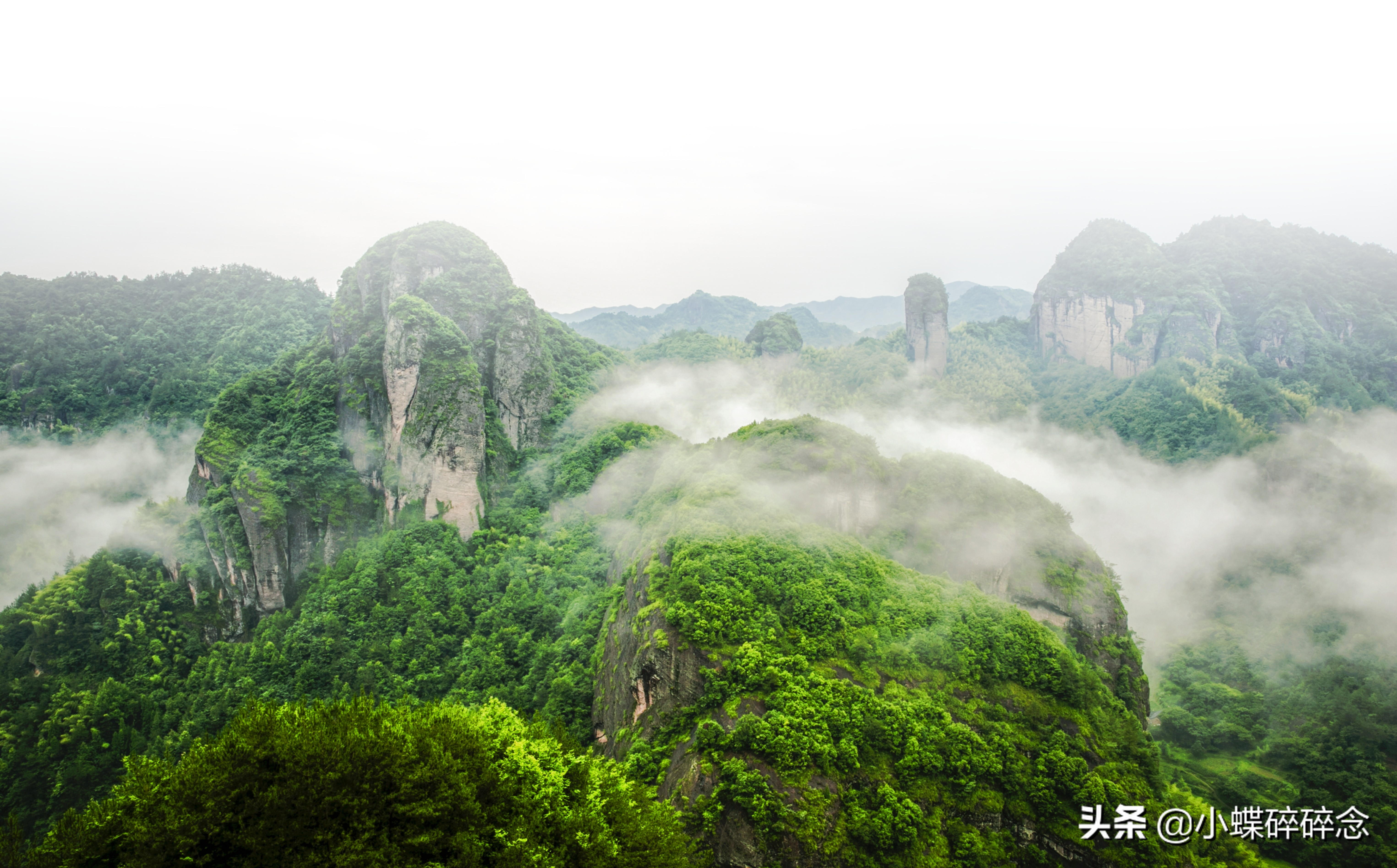 跟我去一趟缙云,告诉你怎样的江南行叫“不虚此行”