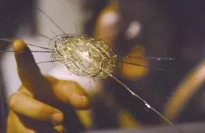 手工气枪威力有多大,有伤害力的手工气枪