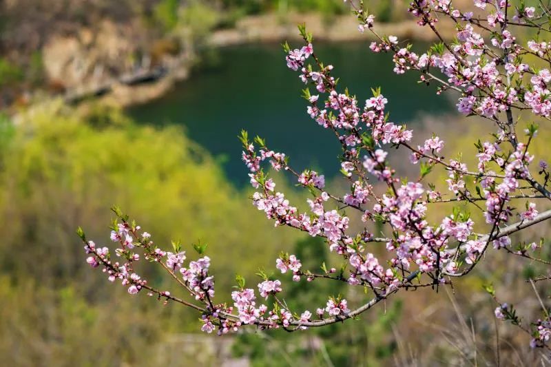 九如山什么季节去最好,秋游九如山旅游攻略