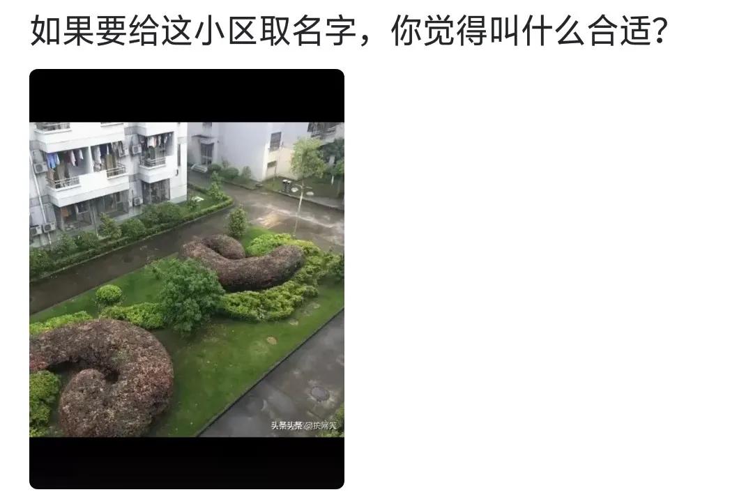 挣不到钱不敢回去,年薪几十万都不敢回家