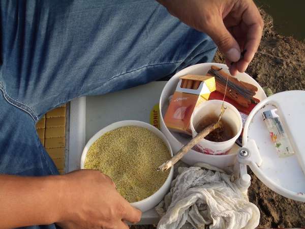 麦芽糖粘小米野钓效果怎么样,麦芽糖蘸小米钓鱼