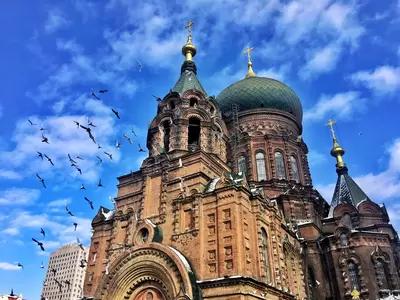 哈尔滨市内环境,哈尔滨一年四季的现状