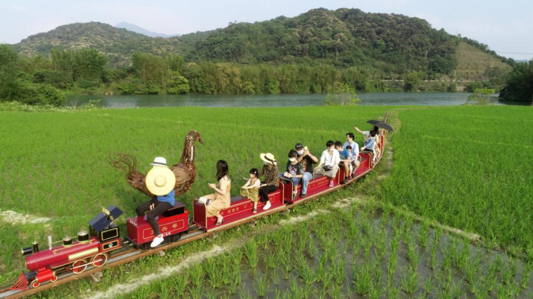 从化休闲度假旅游,从化五一好玩地方推荐一日游