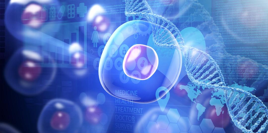 荣泽集团上市,荣泽集团最新进展