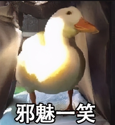 余额宝收益率最高的理财产品,余额宝收益低该选哪个理财产品