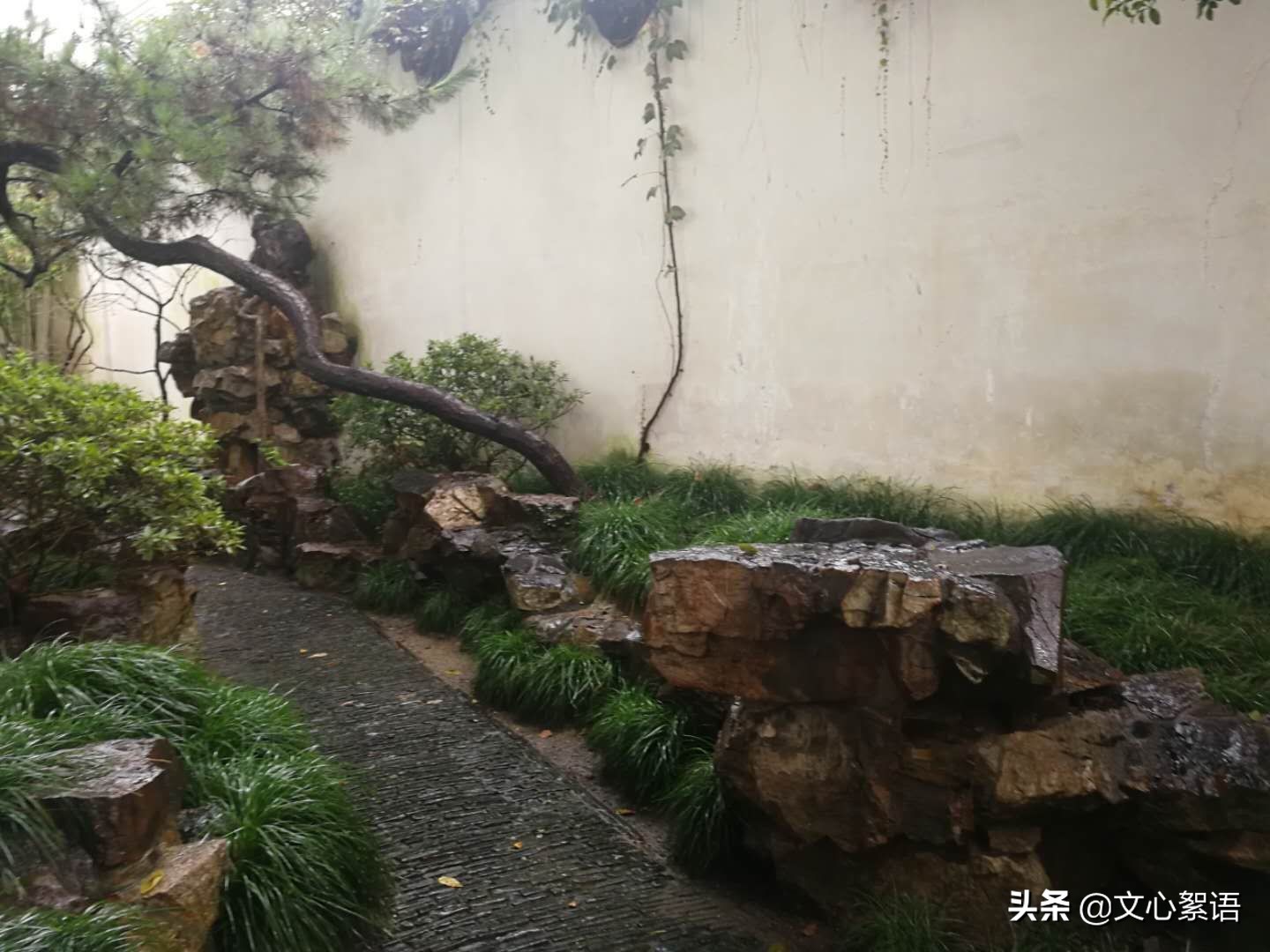 带你感受苏州园林的诗情画意,苏州园林诗情画意