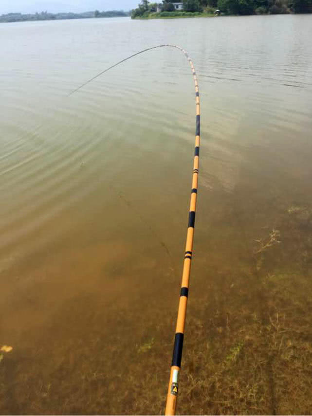 光威捍尊并继鱼竿怎样,并继鱼竿调性怎么区分