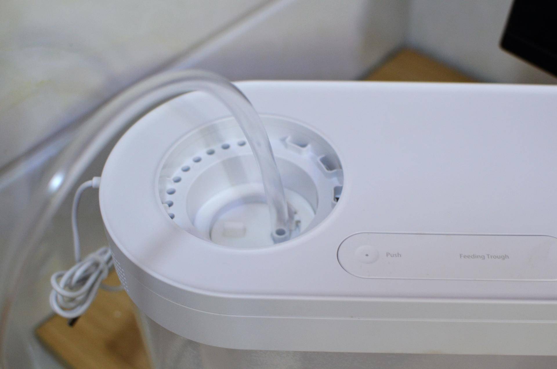 懒人鱼缸养鱼,懒人能养鱼吗