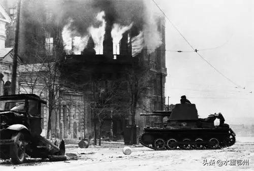 鏌忔灄鎴樺焦娓╁厠灏嗗啗鑳藉惁鍔涙尳鐙傛緶,鍔涙尳鐙傛緶闈掑矝