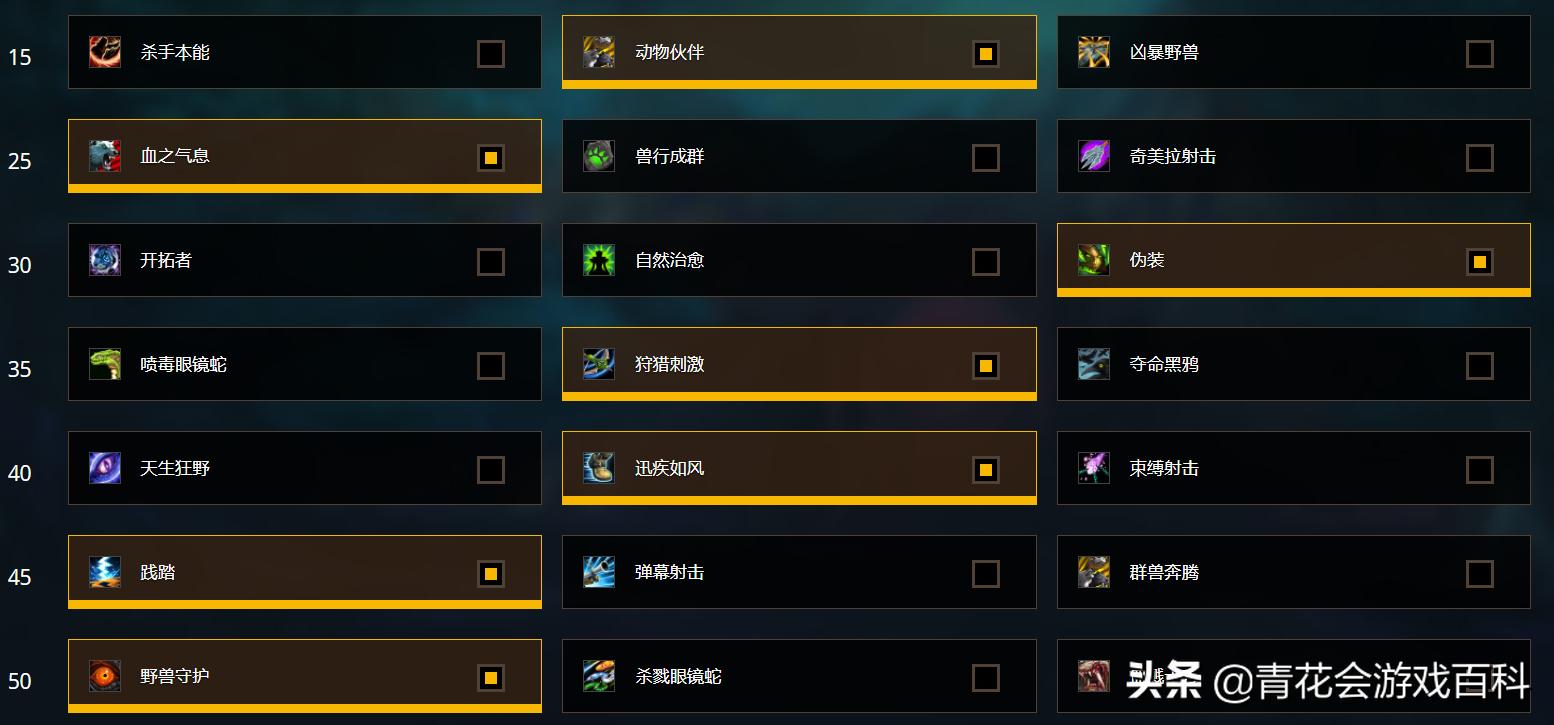 魔兽世界暗影猎人攻略,魔兽世界9.0暗影国度五人本攻略